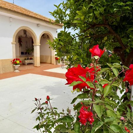 Willa La Casa Del Flamenco Cañada del Rabadán Zewnętrze zdjęcie