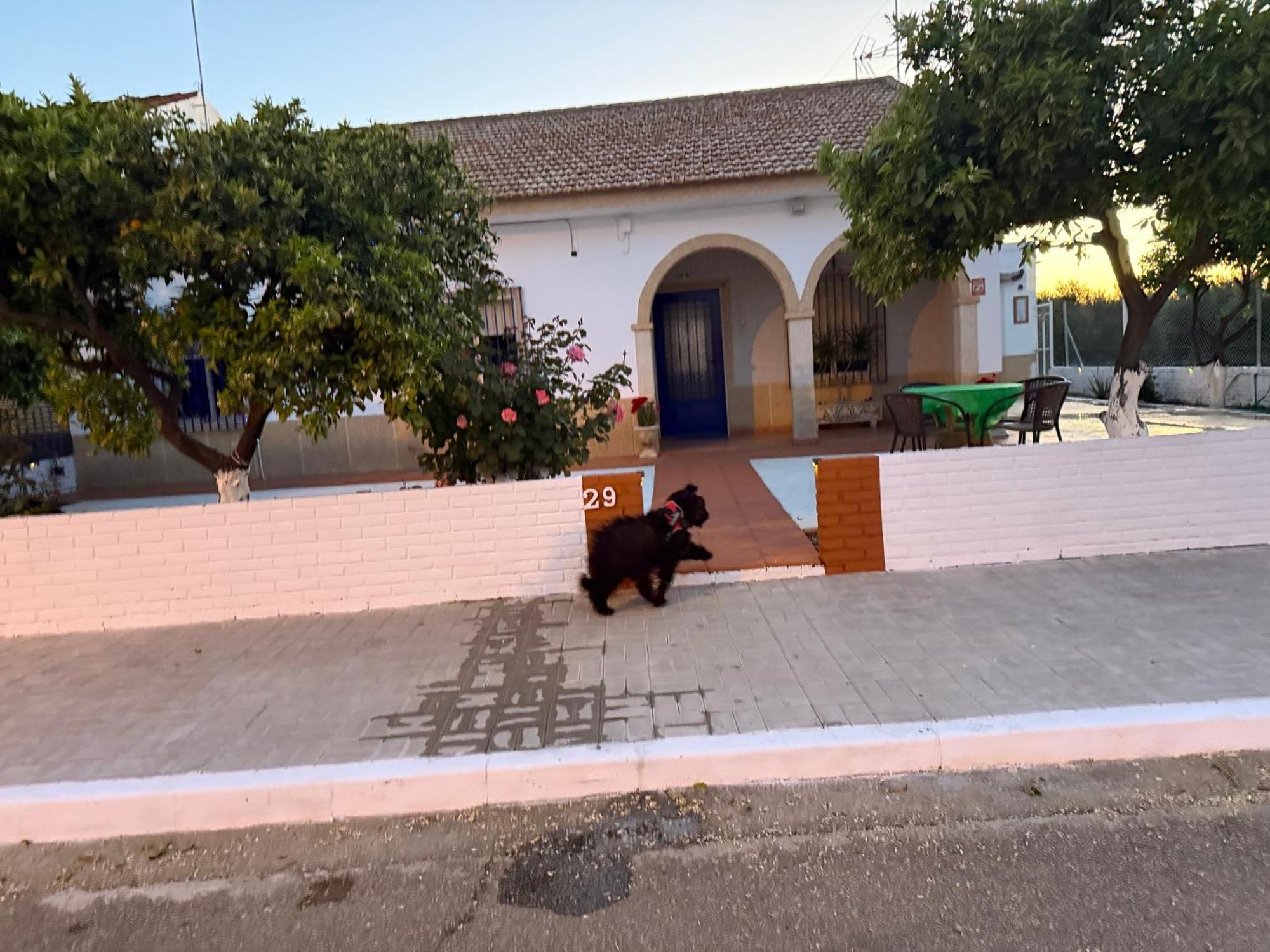 Willa La Casa Del Flamenco Cañada del Rabadán Zewnętrze zdjęcie