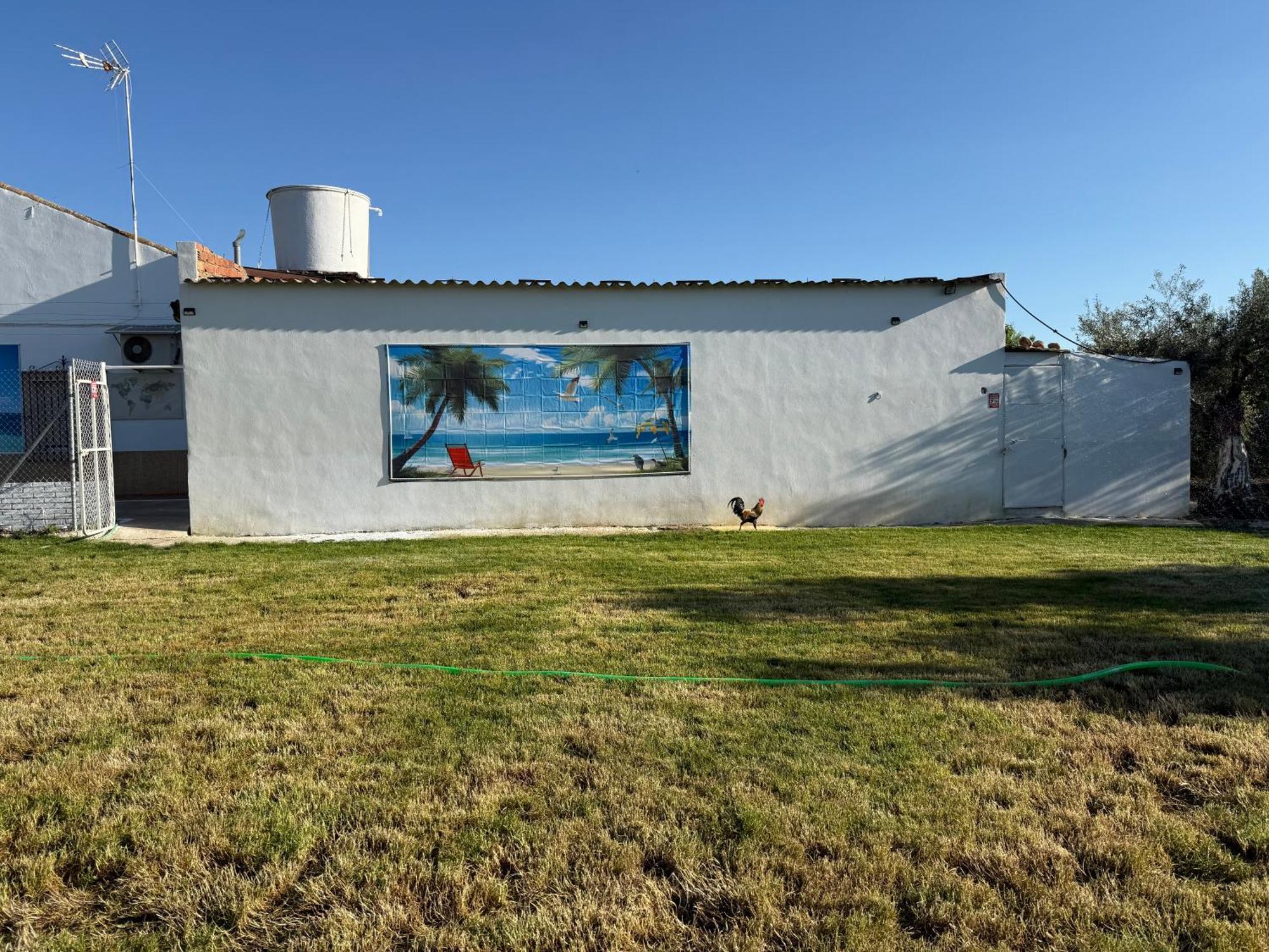 Willa La Casa Del Flamenco Cañada del Rabadán Zewnętrze zdjęcie