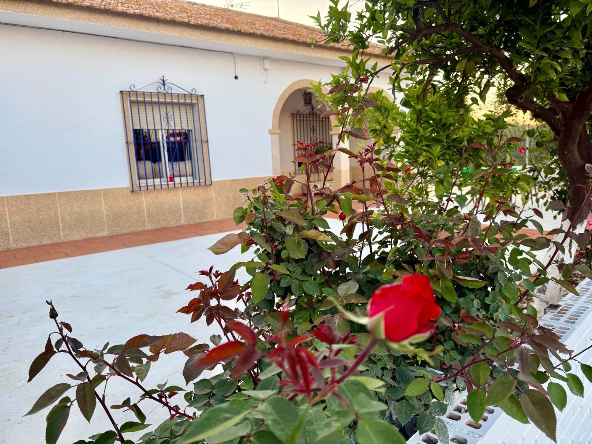 Willa La Casa Del Flamenco Cañada del Rabadán Zewnętrze zdjęcie
