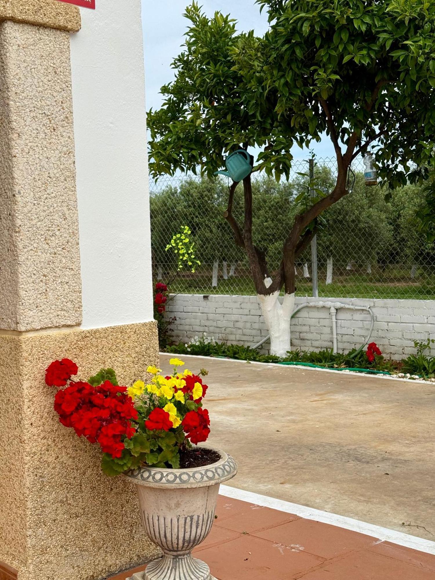 Willa La Casa Del Flamenco Cañada del Rabadán Zewnętrze zdjęcie